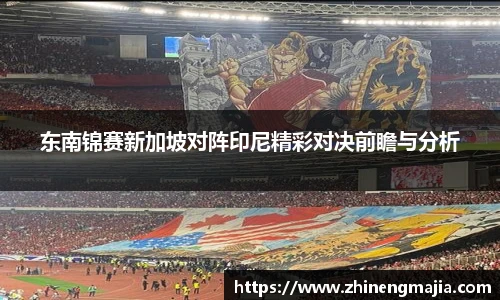 东南锦赛新加坡对阵印尼精彩对决前瞻与分析